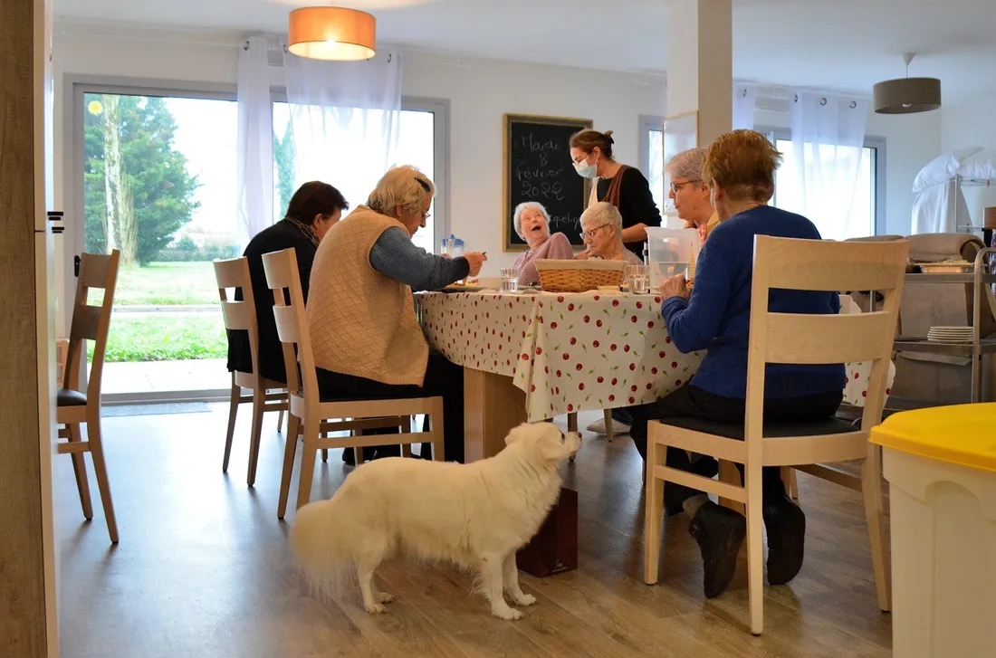 Colocation Age et Vie Taupon